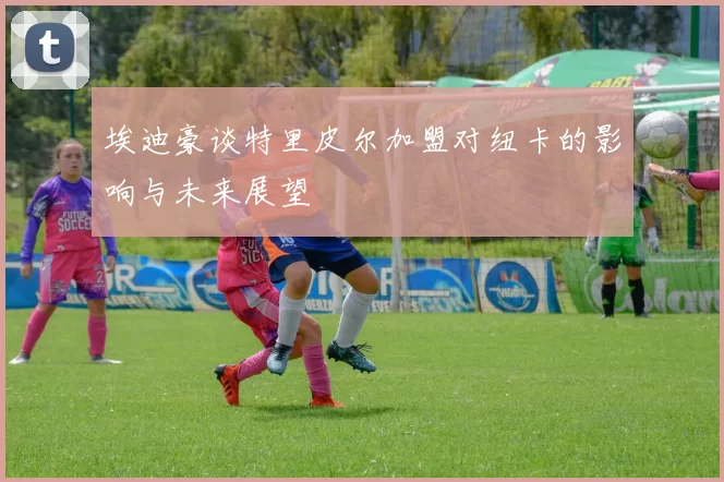 埃迪豪谈特里皮尔加盟对纽卡的影响与未来展望