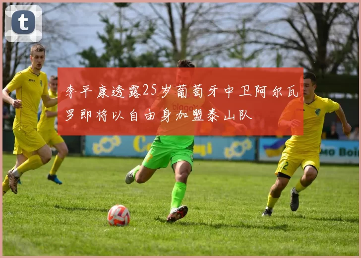李平康透露25岁葡萄牙中卫阿尔瓦罗即将以自由身加盟泰山队