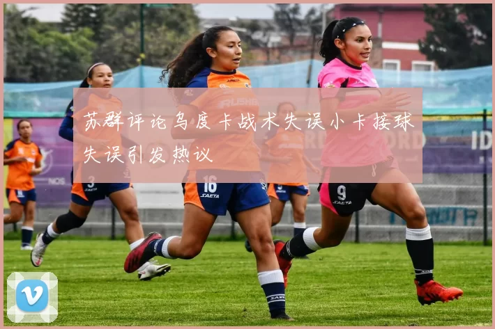 苏群评论乌度卡战术失误小卡接球失误引发热议